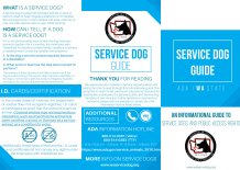 Trifold Brochure Template 2 PRINT